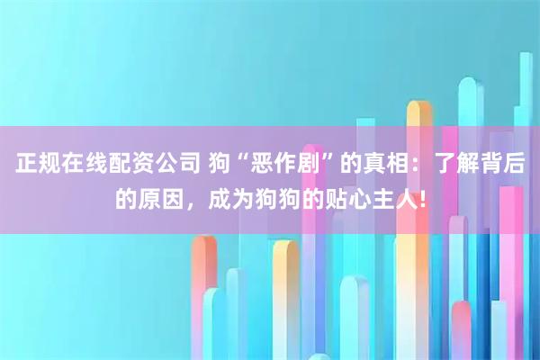正规在线配资公司 狗“恶作剧”的真相：了解背后的原因，成为狗狗的贴心主人!